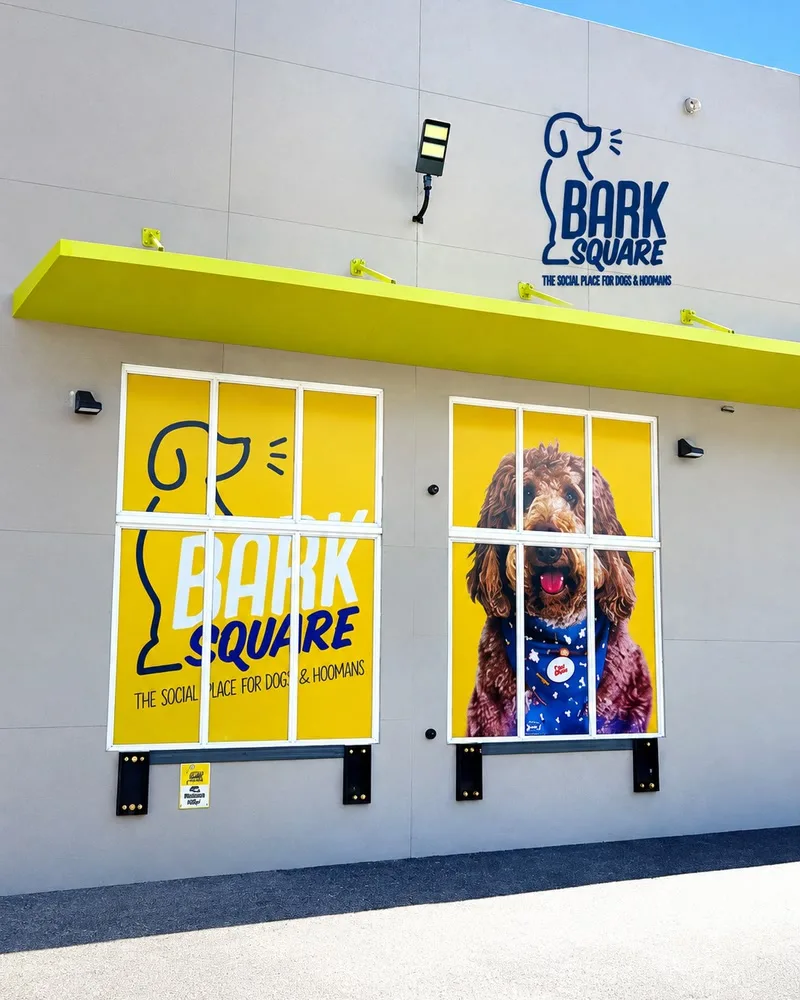 Bark Square storefront with one-way vision film on its windows: a yellow panel with the Bark Square logo and a yellow panel with a portrait of a brown doodle dog in a blue bandana, under a lime green awning